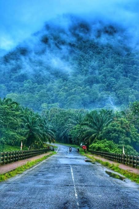 Rain Drops Premium Villas - Athirappilly Exteriér fotografie